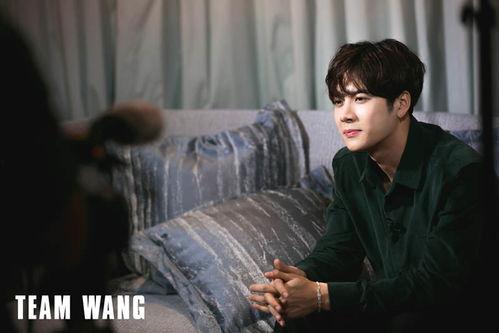 阿飞爆料王嘉尔视频,事件背后真相揭秘 第2张 阿飞爆料王嘉尔视频,事件背后真相揭秘 第2张